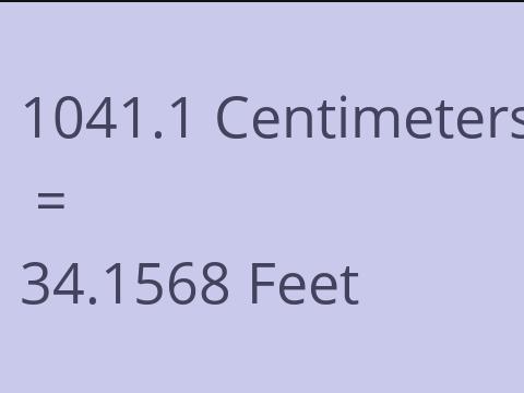 1041.1 CM TO FEET