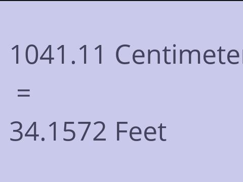 1041.11 CM TO FEET