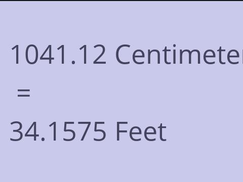 1041.12 CM TO FEET