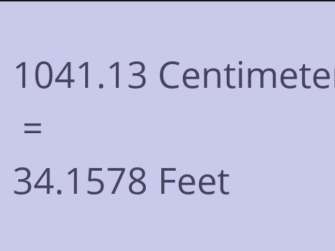 1041.13 CM TO FEET