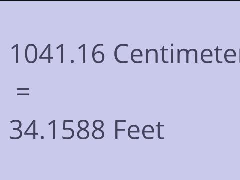 1041.16 CM TO FEET