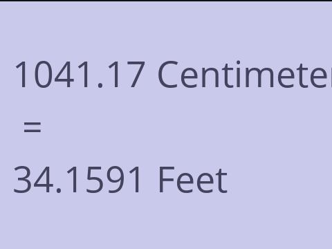 1041.17 CM TO FEET