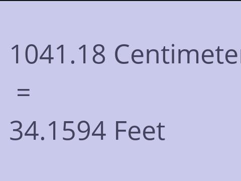 1041.18 CM TO FEET