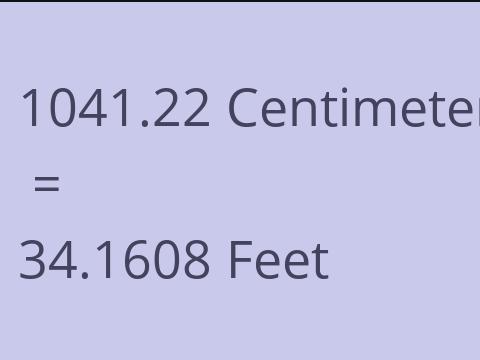 1041.22 CM TO FEET