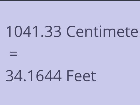 1041.33 CM TO FEET