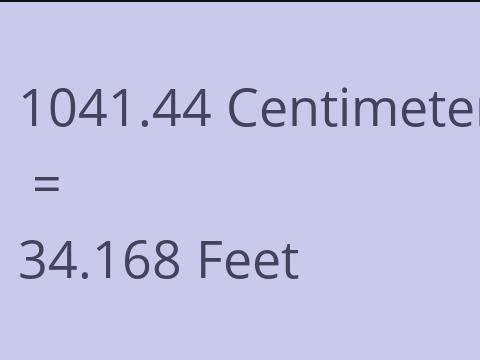 1041.44 CM TO FEET