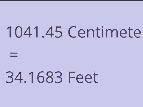 1041.45 CM TO FEET