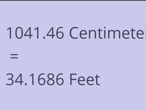 1041.46 CM TO FEET