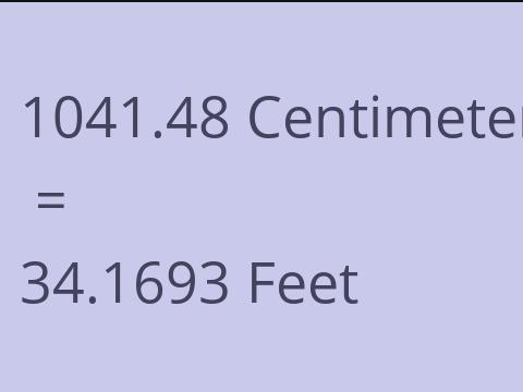 1041.48 CM TO FEET