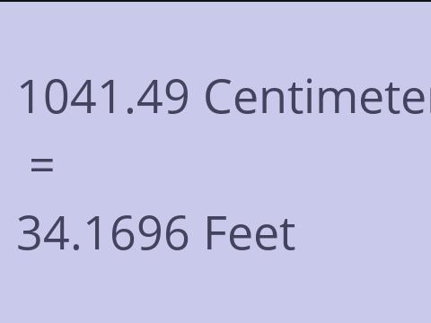 1041.49 CM TO FEET