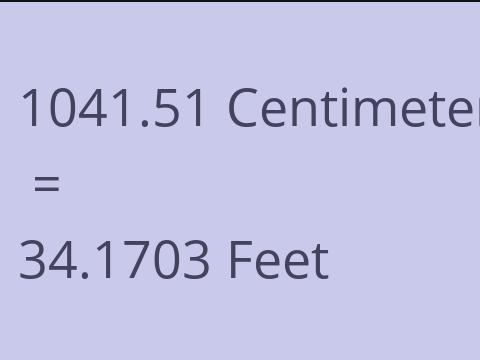 1041.51 CM TO FEET