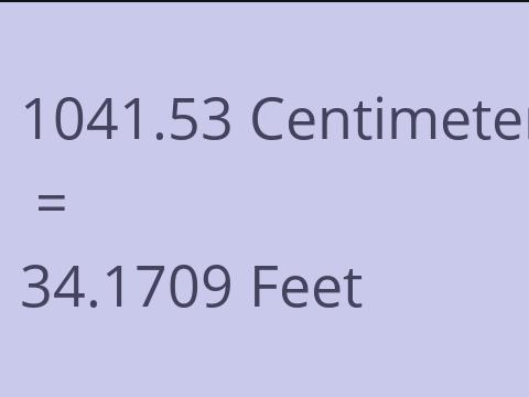 1041.53 CM TO FEET