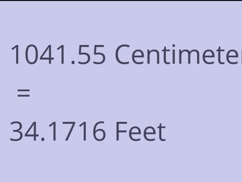 1041.55 CM TO FEET