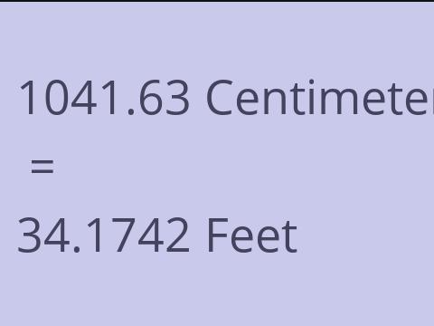 1041.63 CM TO FEET