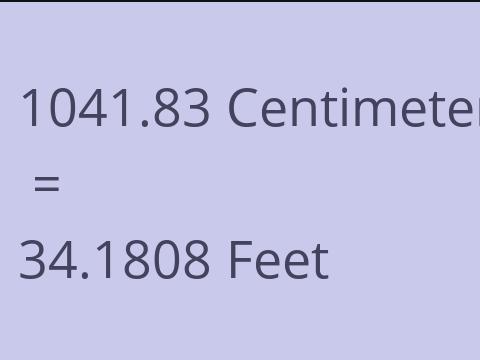 1041.83 CM TO FEET