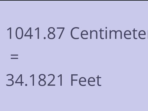 1041.87 CM TO FEET