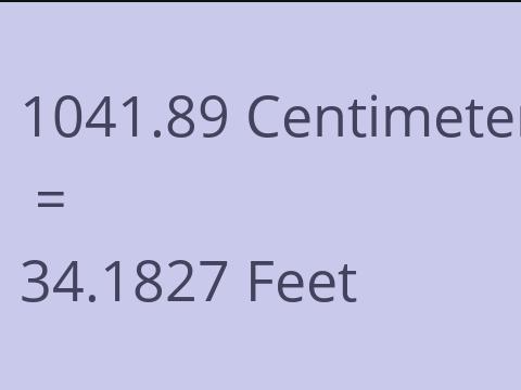 1041.89 CM TO FEET