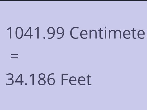 1041.99 CM TO FEET