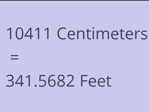 10411 CM TO FEET