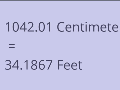 1042.01 CM TO FEET