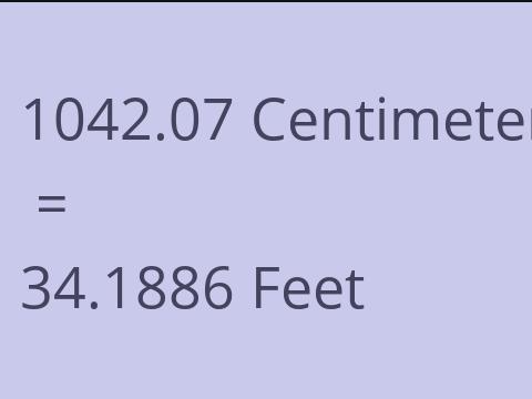 1042.07 CM TO FEET