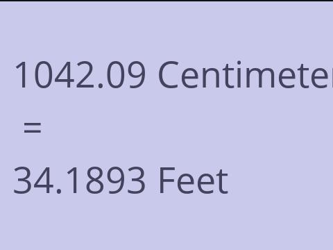 1042.09 CM TO FEET