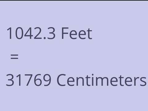 1042.3 FEET TO CM