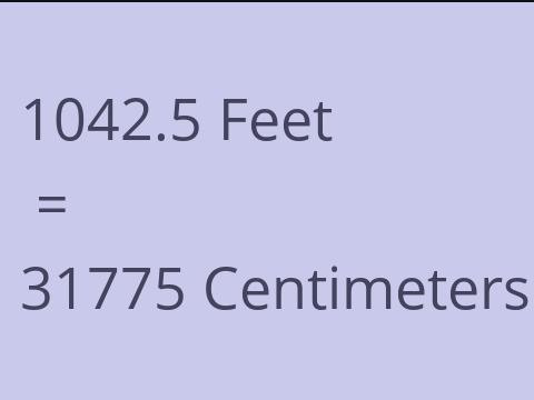 1042.5 FEET TO CM