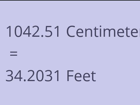 1042.51 CM TO FEET