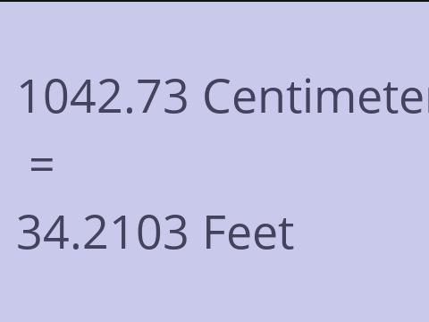 1042.73 CM TO FEET