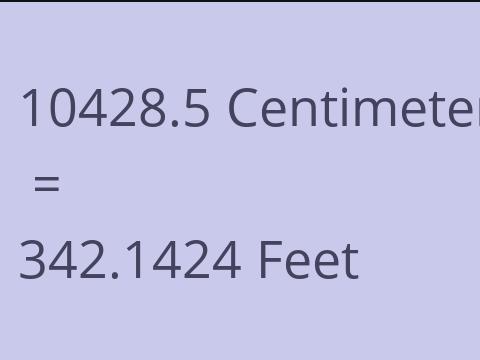 10428.5 CM TO FEET