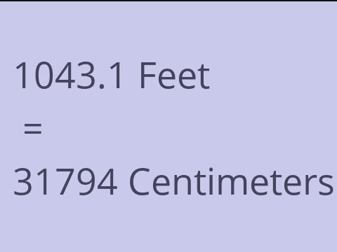 1043.1 FEET TO CM