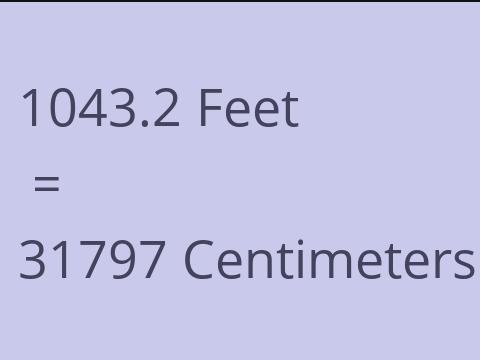 1043.2 FEET TO CM