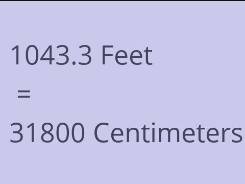 1043.3 FEET TO CM