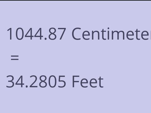 1044.87 CM TO FEET