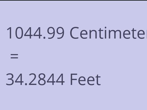 1044.99 CM TO FEET