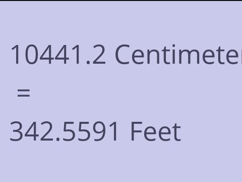 10441.2 CM TO FEET