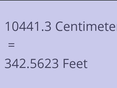 10441.3 CM TO FEET