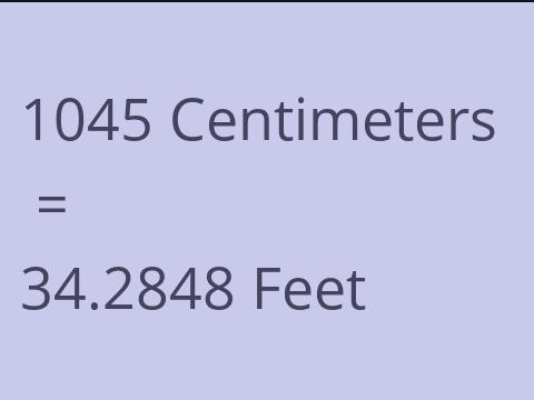 1045 CM TO FEET