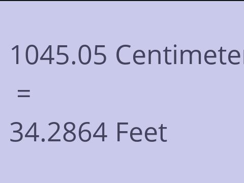 1045.05 CM TO FEET