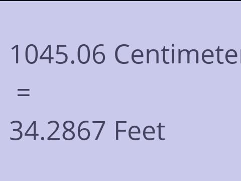 1045.06 CM TO FEET