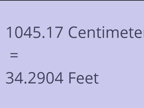 1045.17 CM TO FEET