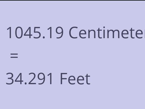 1045.19 CM TO FEET