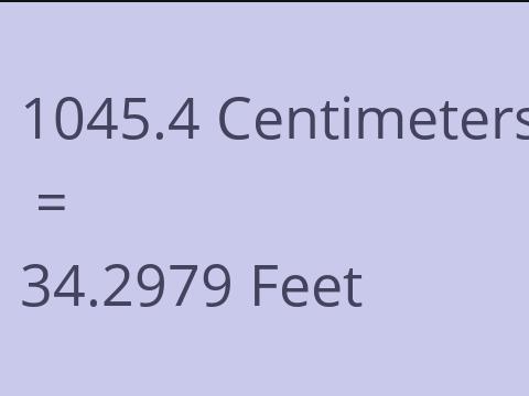 1045.4 CM TO FEET