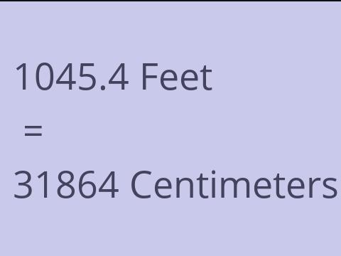 1045.4 FEET TO CM