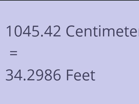 1045.42 CM TO FEET