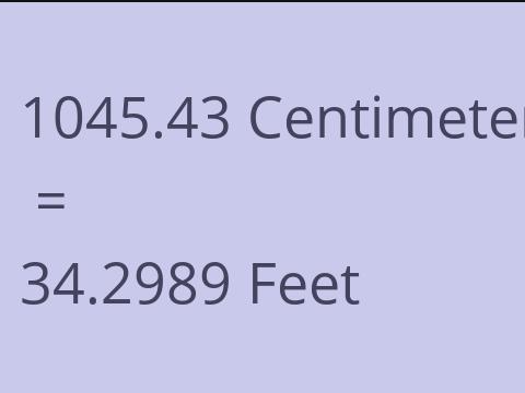 1045.43 CM TO FEET