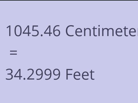 1045.46 CM TO FEET