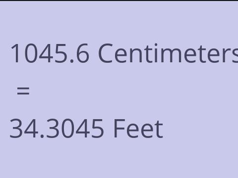 1045.6 CM TO FEET