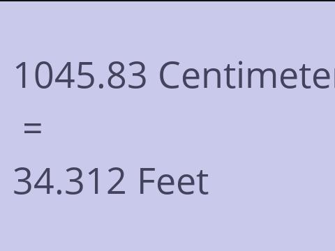 1045.83 CM TO FEET